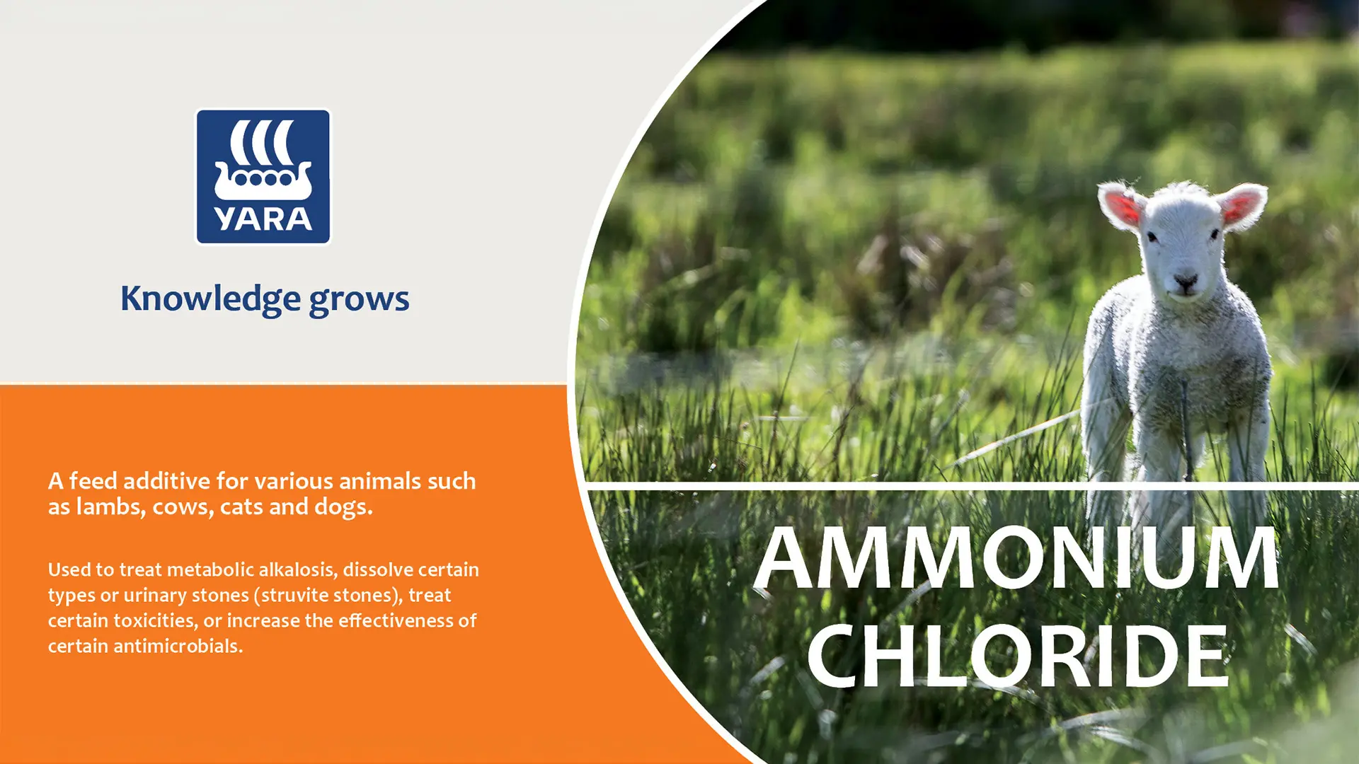 Ammonium Chloride | YARA Animal Nutrition