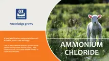 Ammonium Chloride | YARA Animal Nutrition