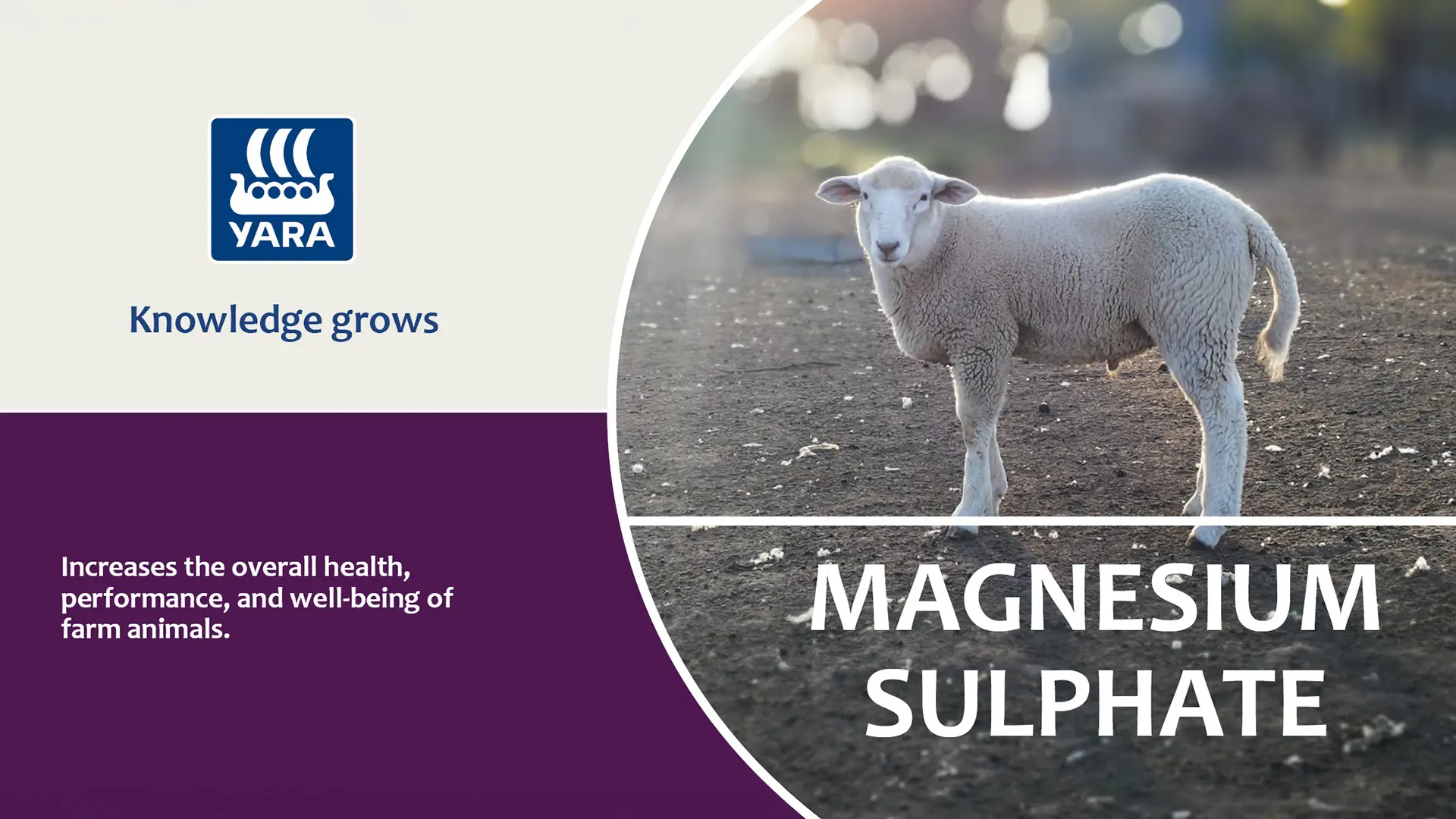Magnesium Sulphate | YARA Animal Nutrition