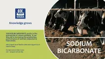 Sodium Bicarbonate | YARA Animal Nutrition