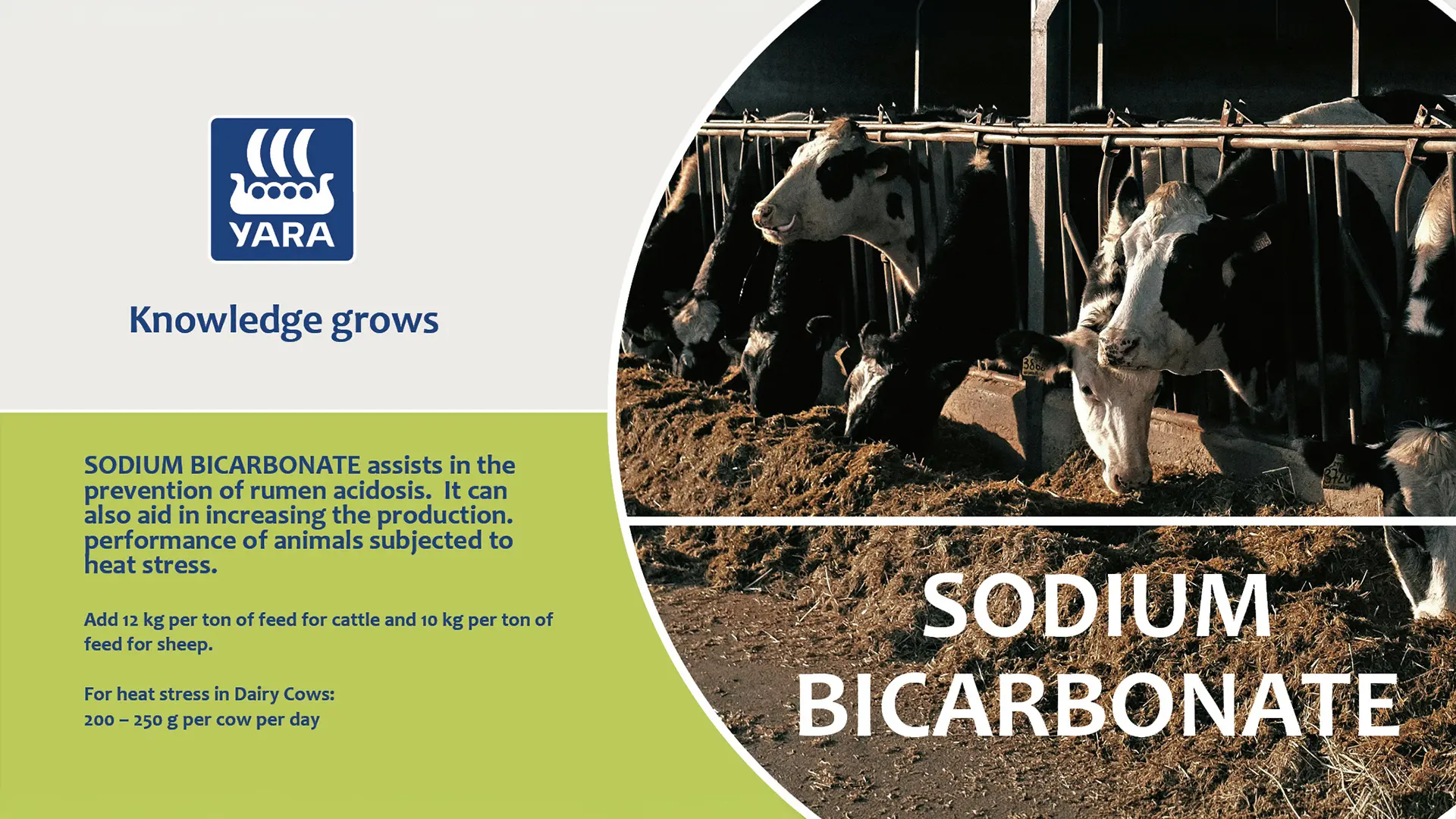 Sodium Bicarbonate | YARA Animal Nutrition