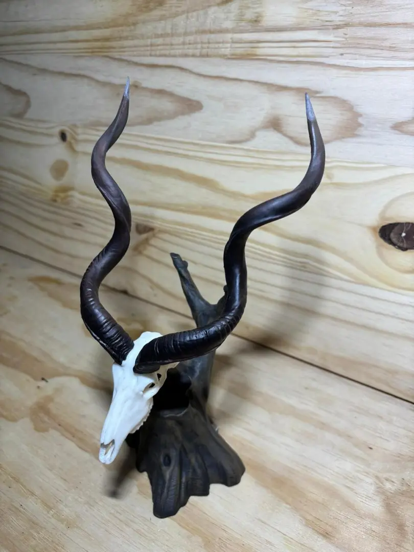 The Hand Made Mini Skulls (Small Head Trophy) | Outdoor Innovation