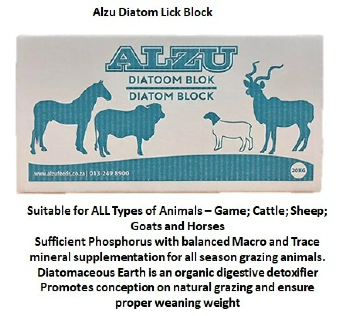 Alzu Diatom Lick Block | Animal Health | Outdoor Innovation