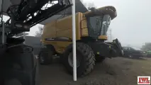 Hennie vd Walt