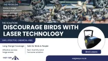 Eagle Eye B-Lazer (Outdoor) | Eagle Eye Bird Control