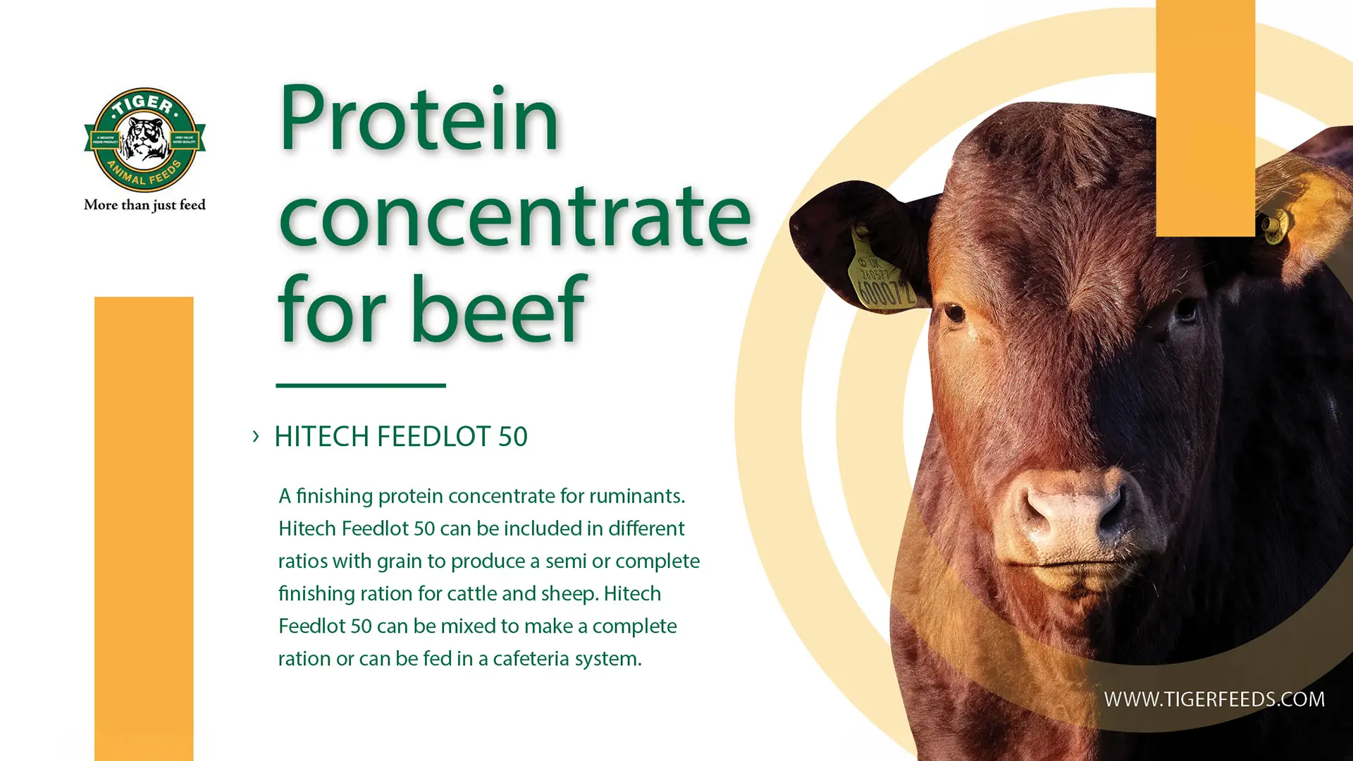 Hitech feedlot 50 | Tiger Animal Feeds