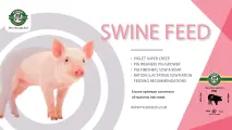 Swine feed | Tiger Animal Feeds