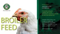 Broiler feed | Tiger Animal Feeds