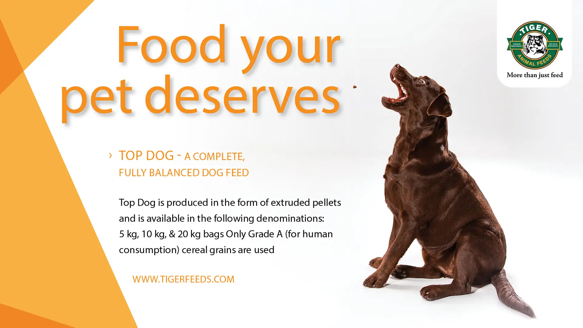 Food your pet deserves | Tiger Animal Feeds