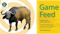 Game feed | Tiger Animal Feeds