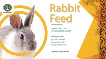 Rabbit feed | Tiger Animal Feeds