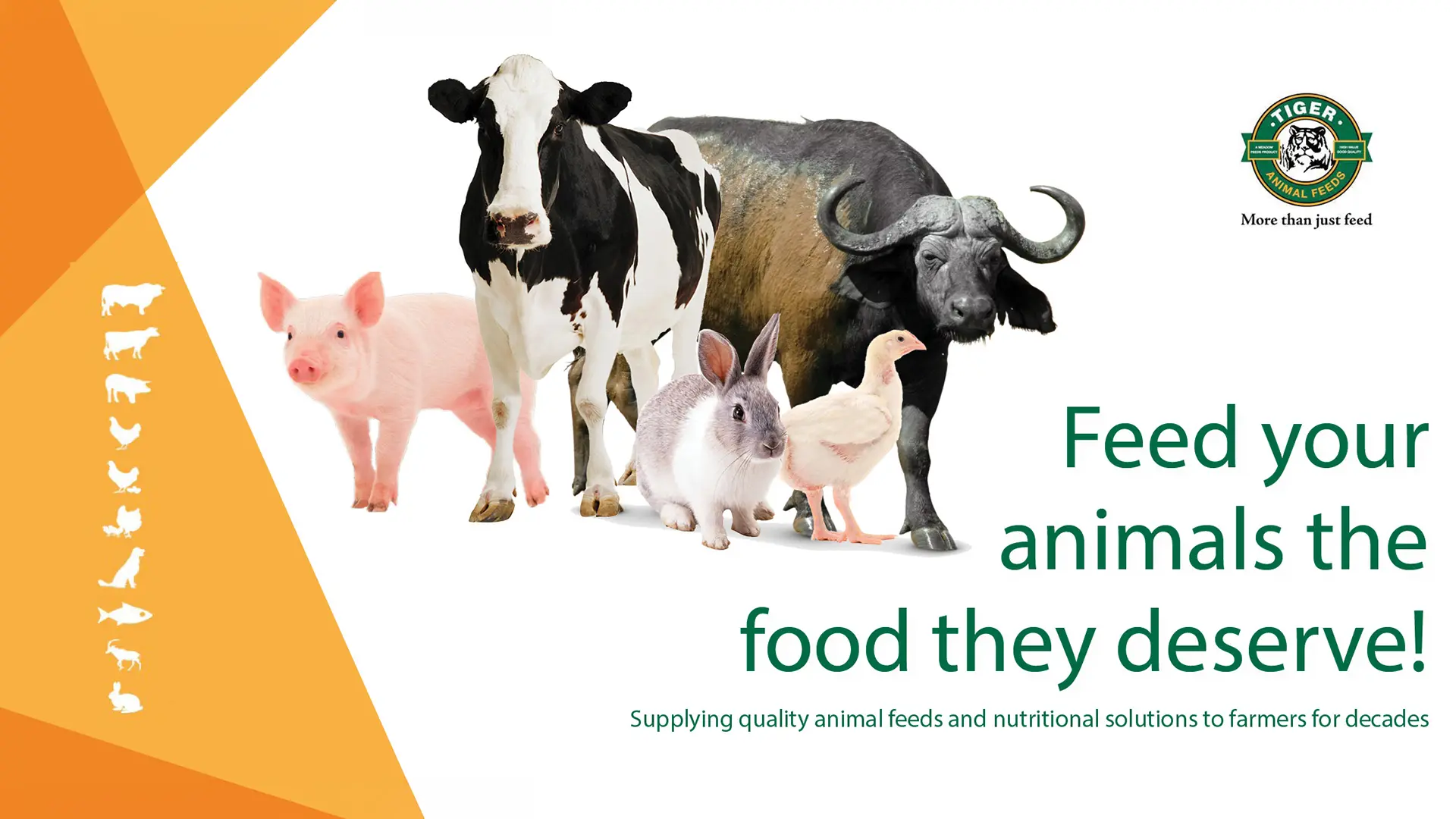 Feed your animals the food they deserve! | Tiger Animal Feeds
