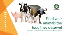 Feed your animals the food they deserve! | Tiger Animal Feeds