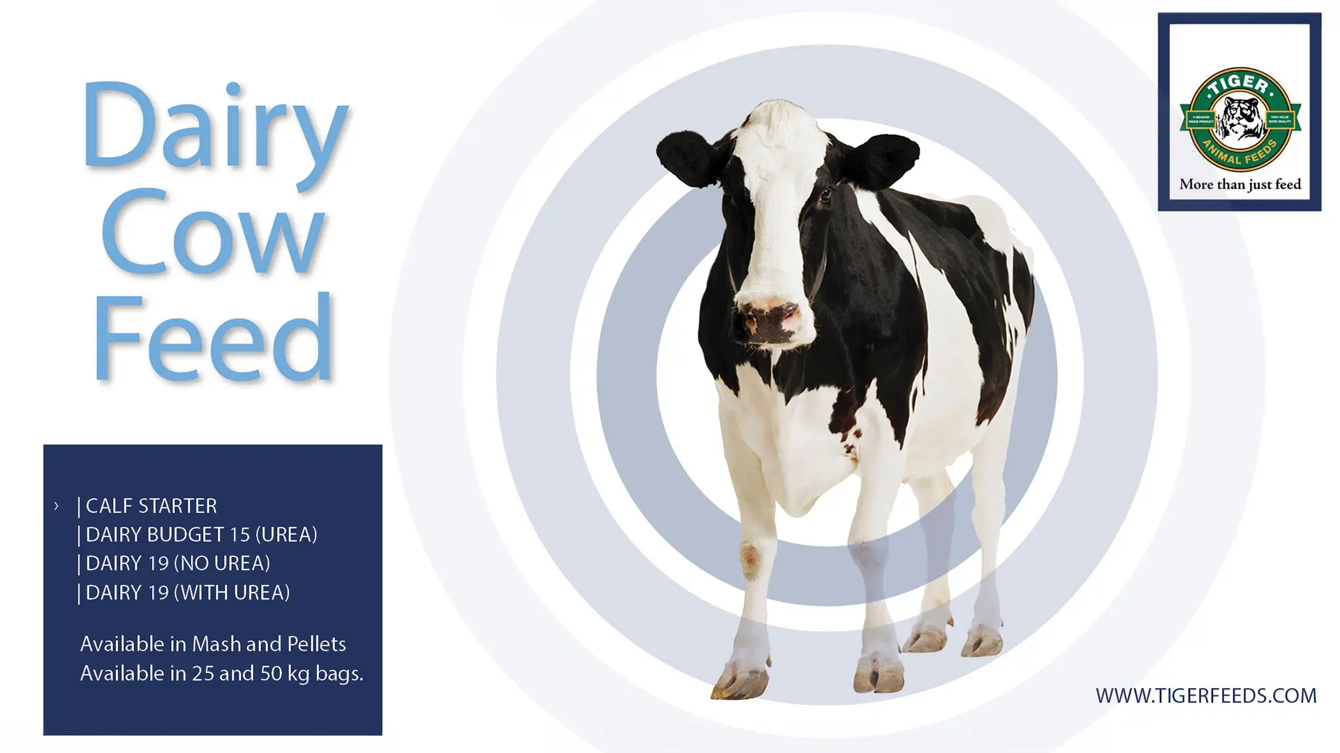 Dairy cow feed | Tiger Animal Feeds