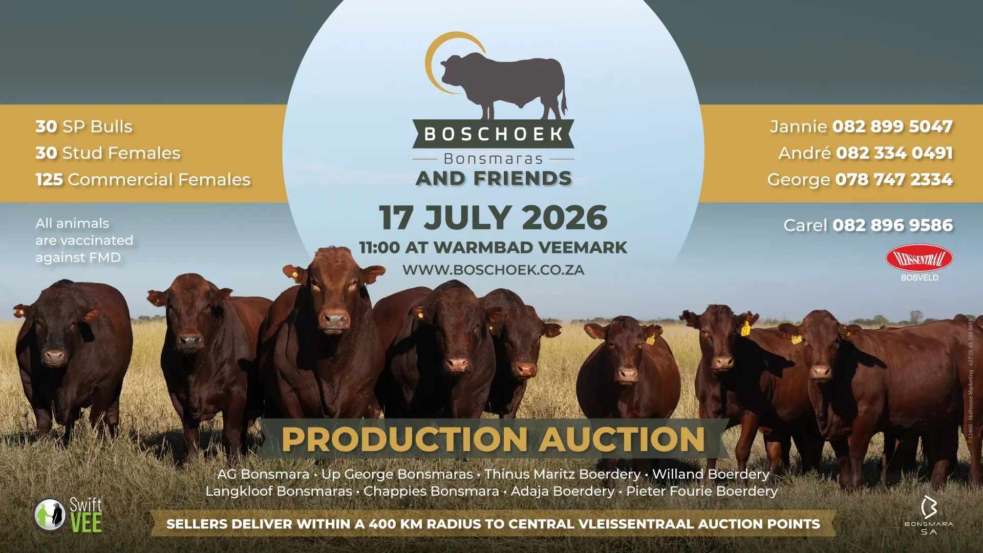 Boschoek Bonsmaras and friends production auction | 17 July 2026 | 11:00 | Warmbad Veemark