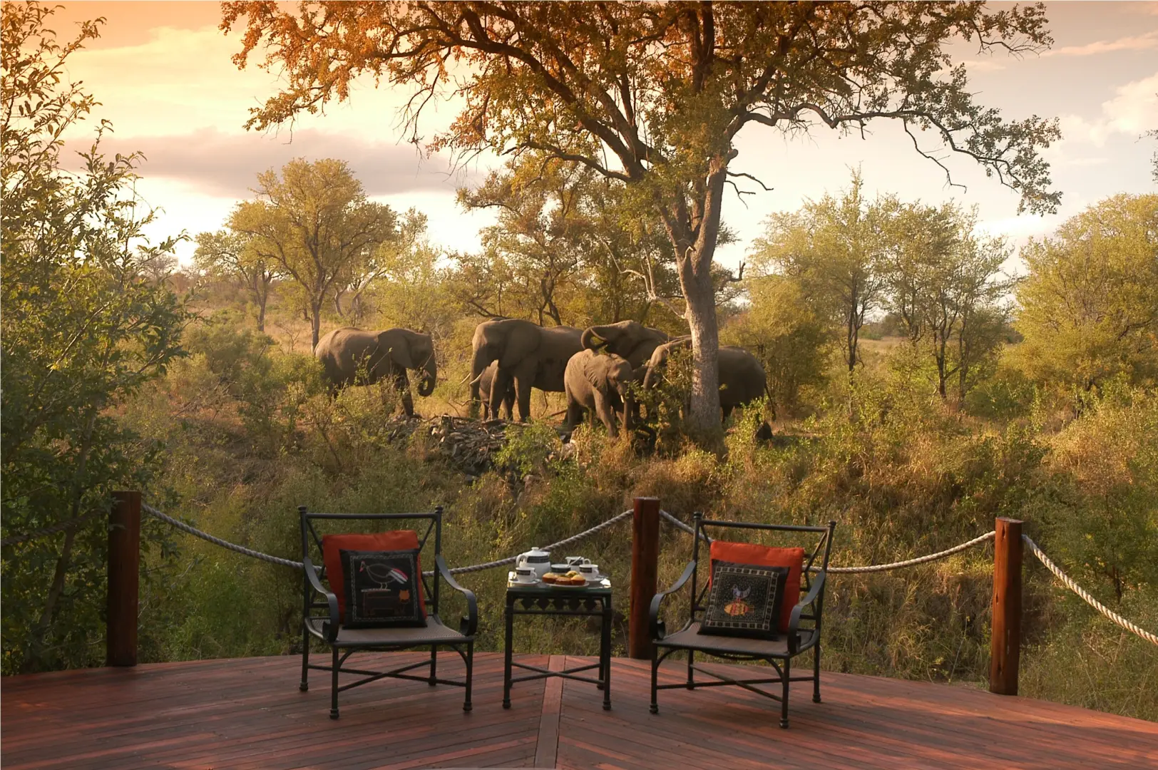 Hoyo Hoyo Safari Lodge (May 27, 2026 to Nov 30, 2026) | XL Boland Travel 