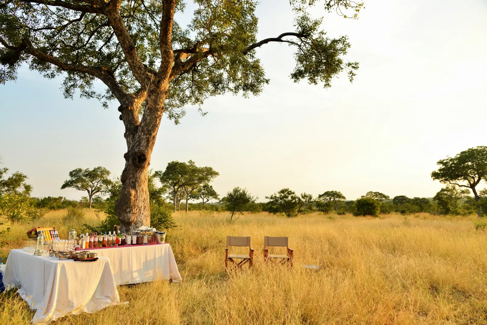 Hamiltons Tented Camp (May 27, 2026 to Nov 30, 2026) | XL Boland Travel 