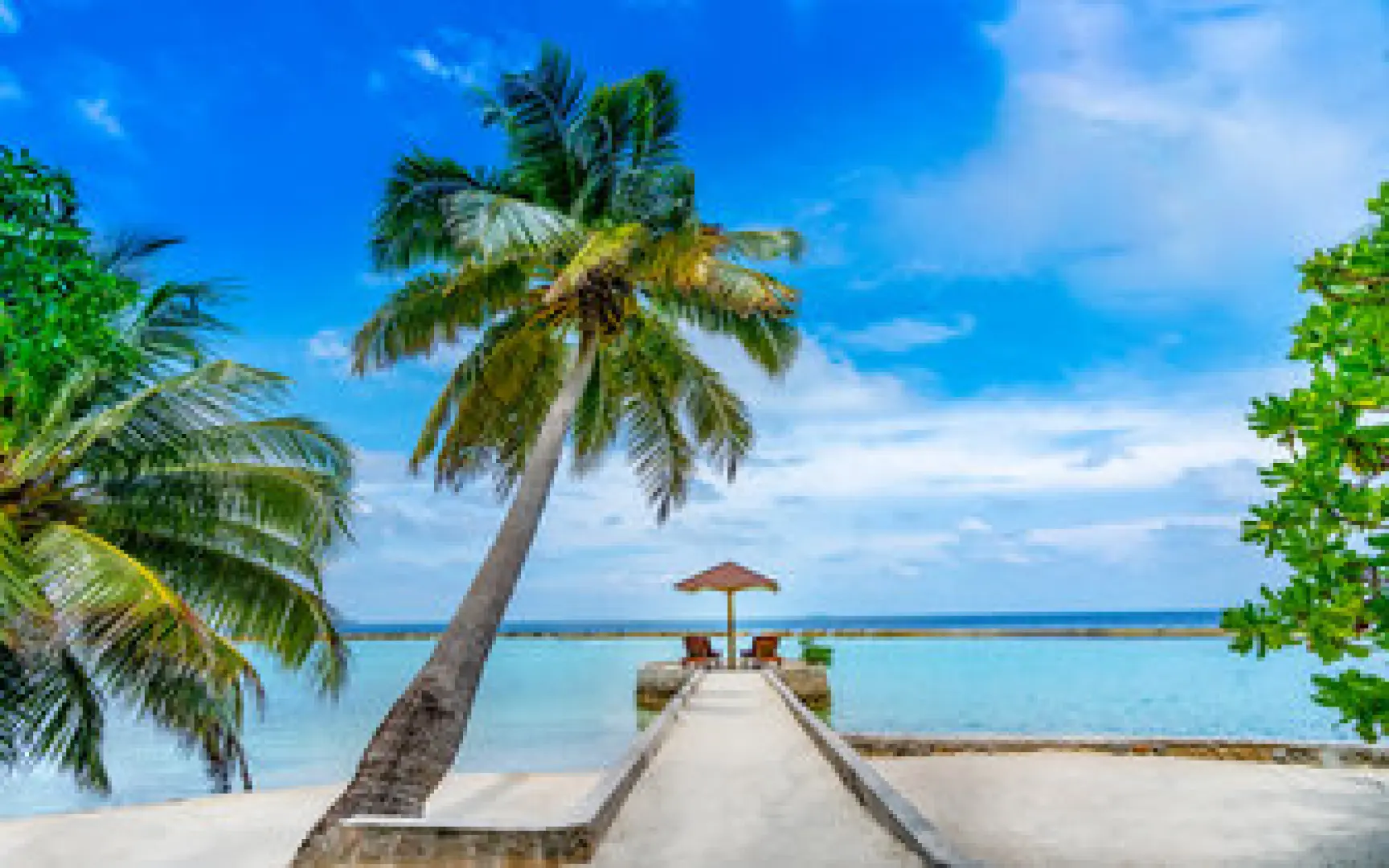 Ellaidhoo Maldives by Cinnamon (Sep 1, 2026 to Sep 30, 2026) | XL Boland Travel 