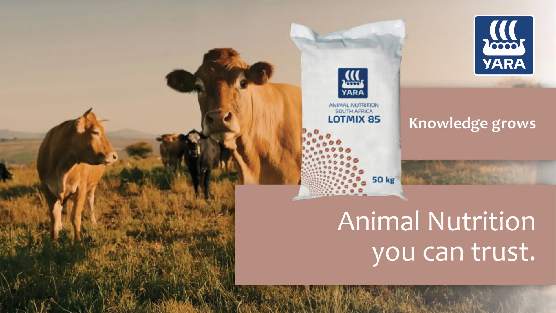LOTMIX 85 | YARA Animal Nutrition