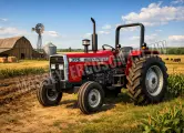 Massey Ferguson MF 375 Tractors