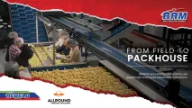 Allround vegetable processing & packhouse solutions | Rebelo Agricultural Group