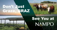 Don't just graze, BRAZ | See you at NAMPO! | BRAZGrass