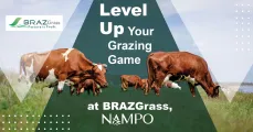 Level up your grazing game at BRAZGrass, NAMPO