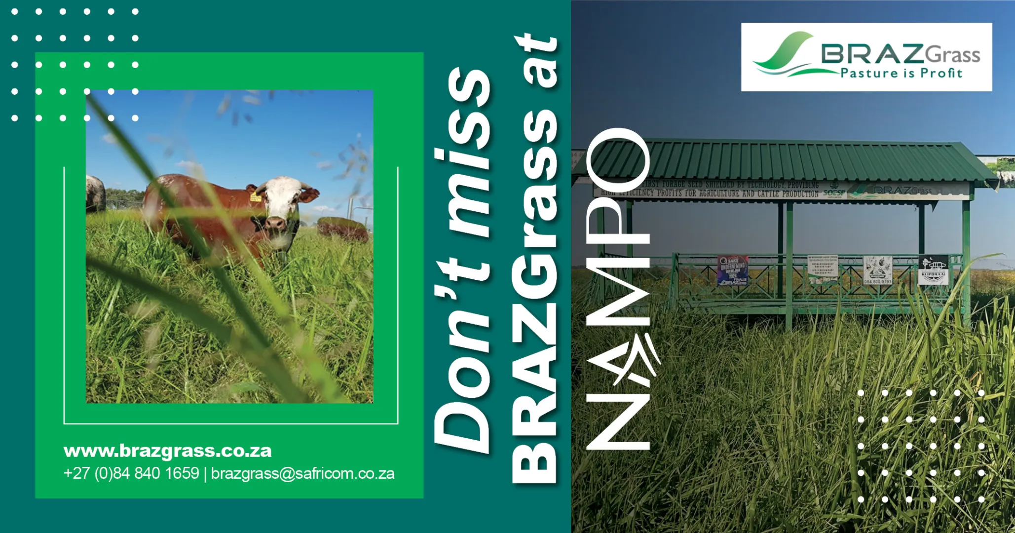 Don't miss BRAZGrass at NAMPO!