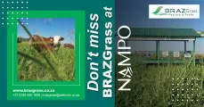 Don't miss BRAZGrass at NAMPO!