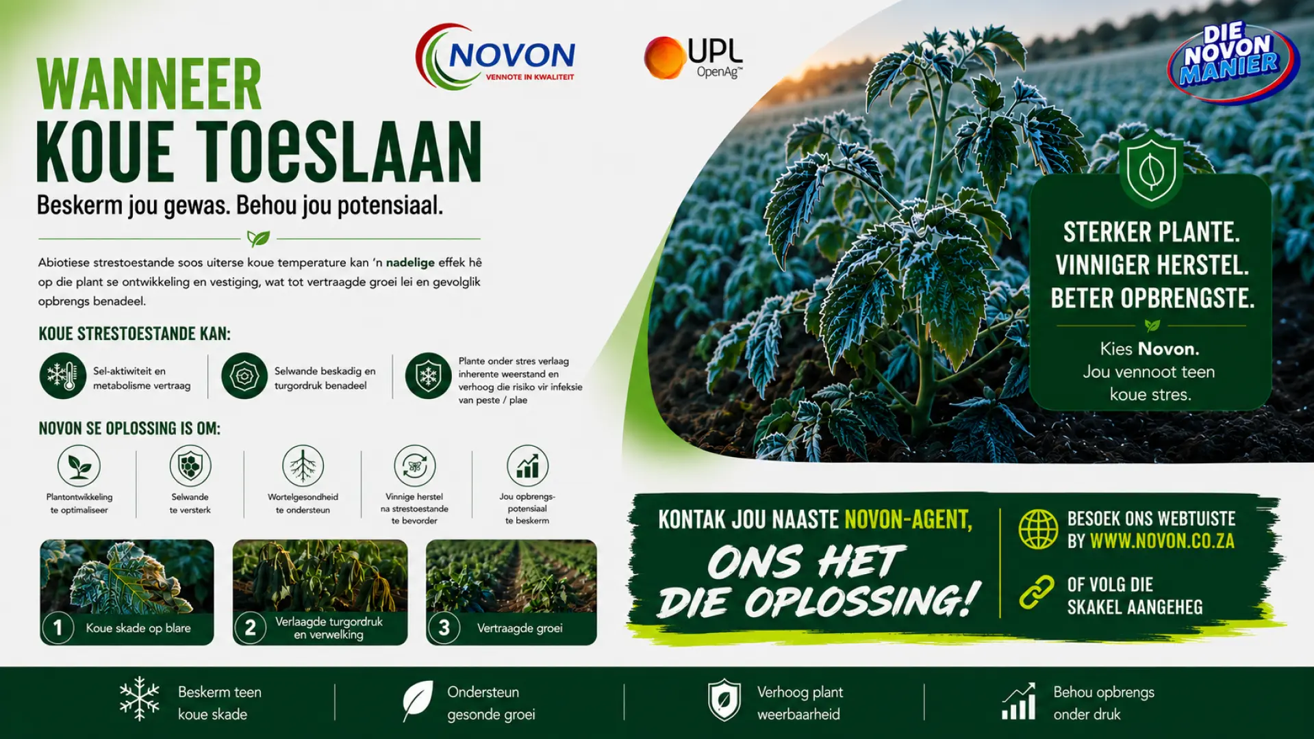 Wanneer die koue toeslaan beskerm jou gewas | Novon