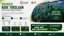 Wanneer die koue toeslaan beskerm jou gewas | Novon