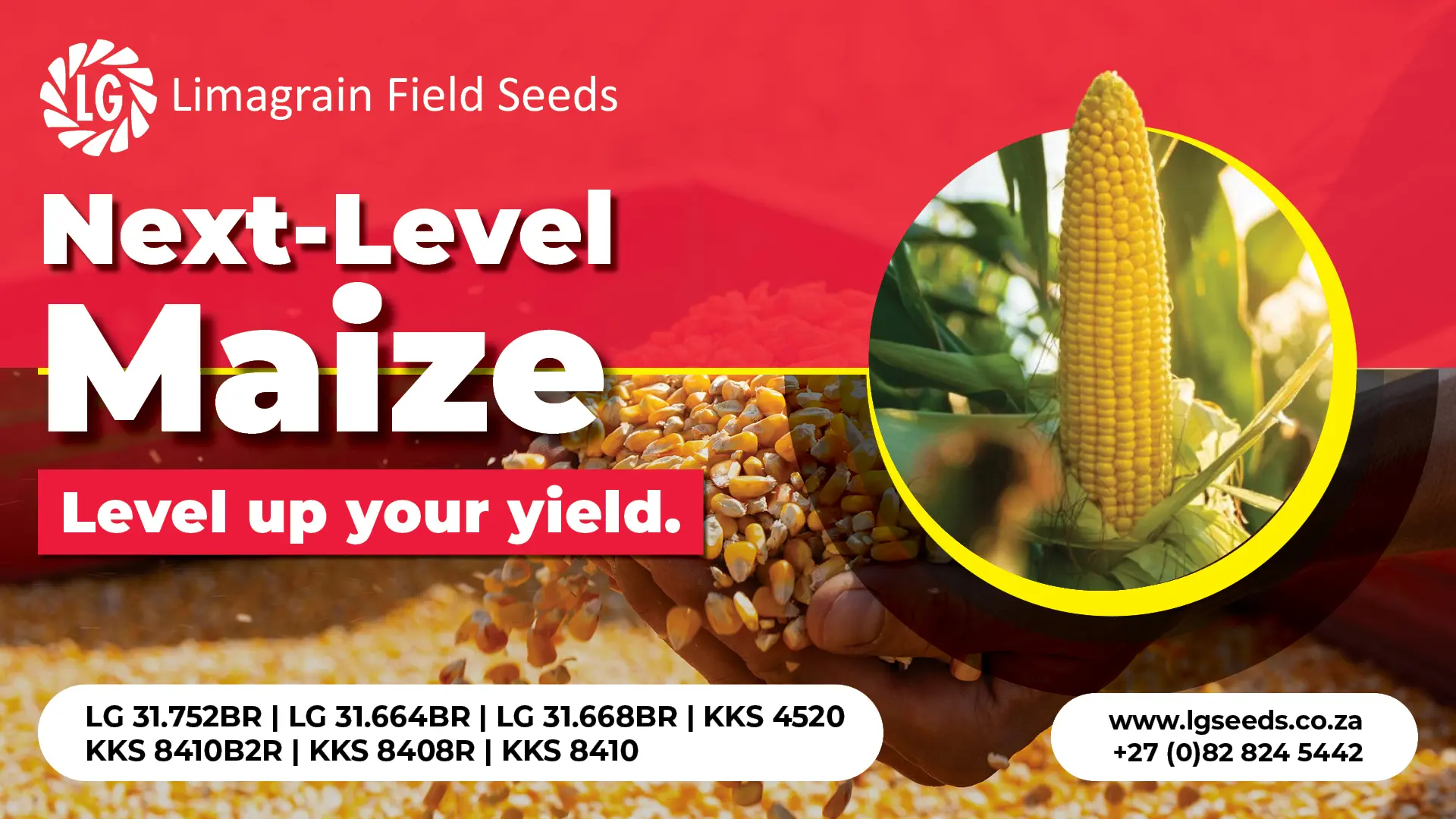 Next-level maize: Level up your yield | Limagrain Field Seeds South Africa