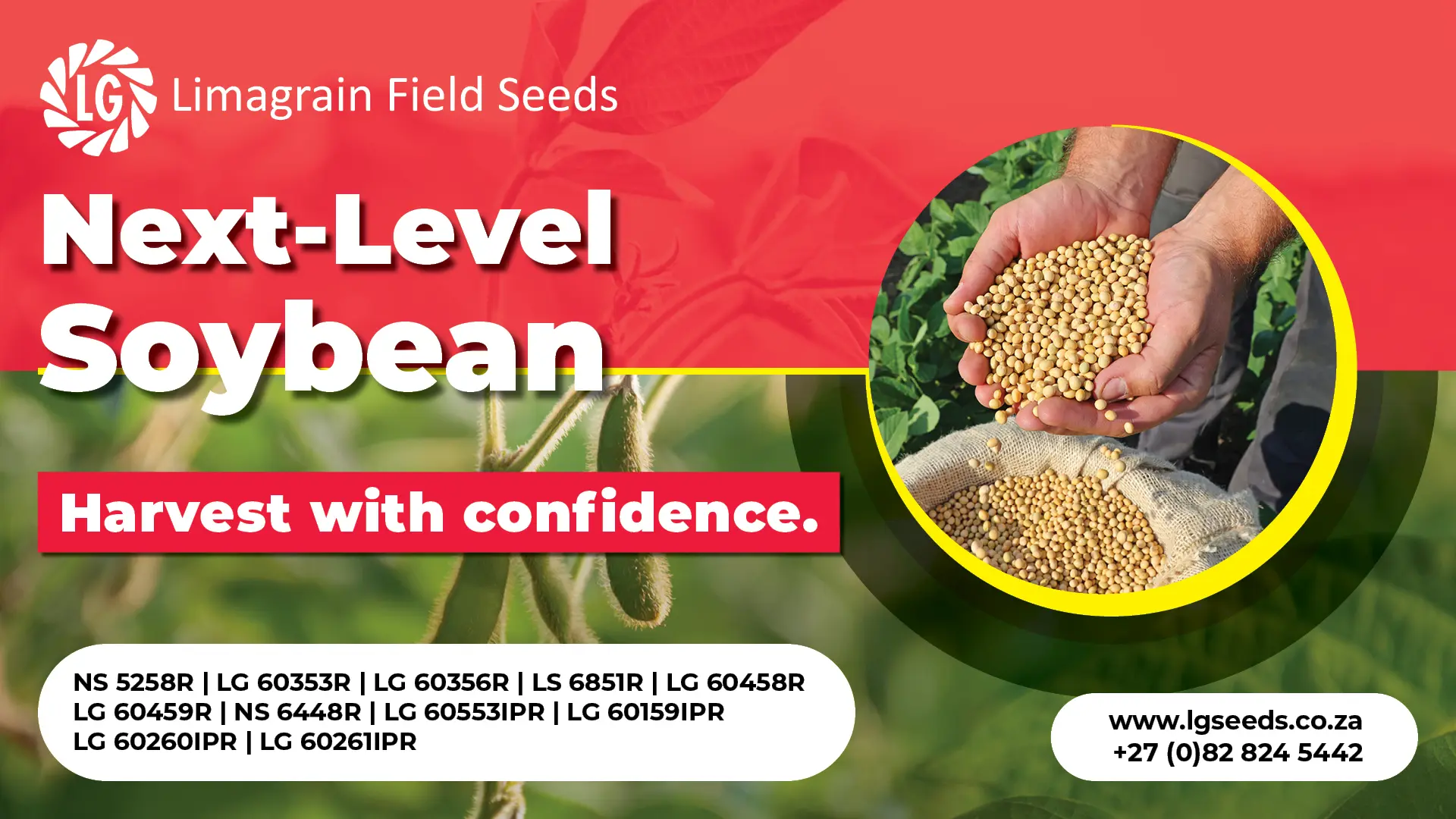 Next-level soybean: Harvest with confidence | Limagrain Field Seeds South Africa