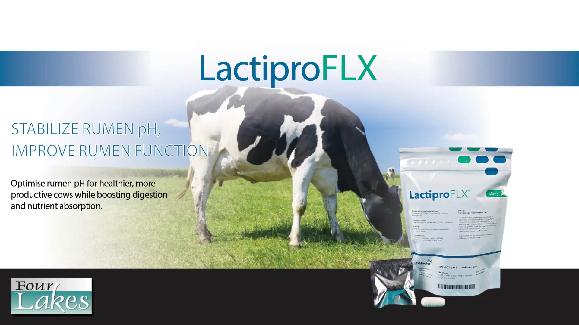 Lactipro FLX Dairy | Stabilize rumen pH improve rumen function | Four Lakes