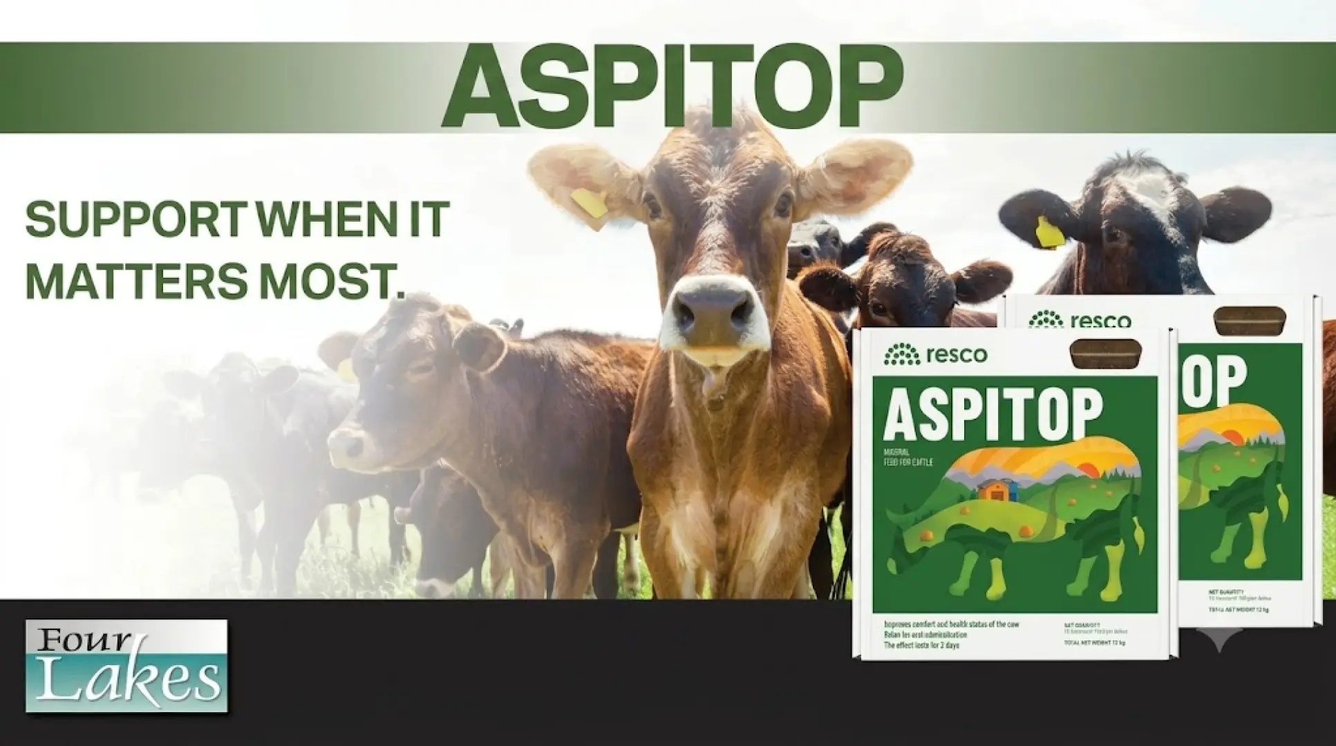 Aspitop | Support When It Matters Most | Four Lakes