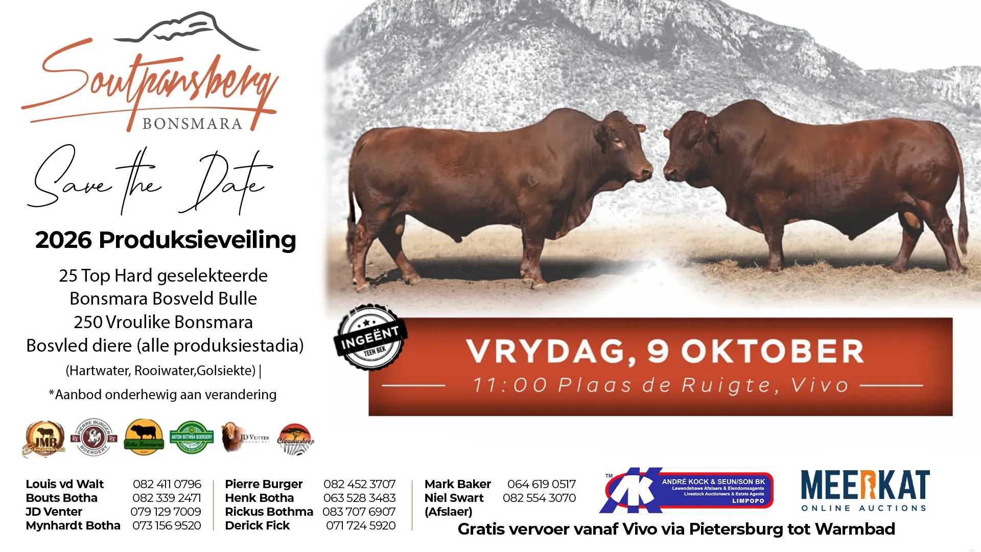 Soutpansberg Bonsmara 2026 Produksieveiling | 9 Oktober 2026 | 11:00 | Plaas de Ruigte, Vivo