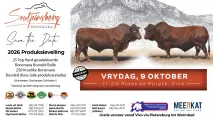 Soutpansberg Bonsmara 2026 Produksieveiling | 9 Oktober 2026 | 11:00 | Plaas de Ruigte, Vivo