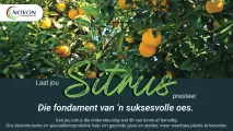 Laat jou sitrus presteer | Die fondament van 'n suksesvolle oes | Novon 