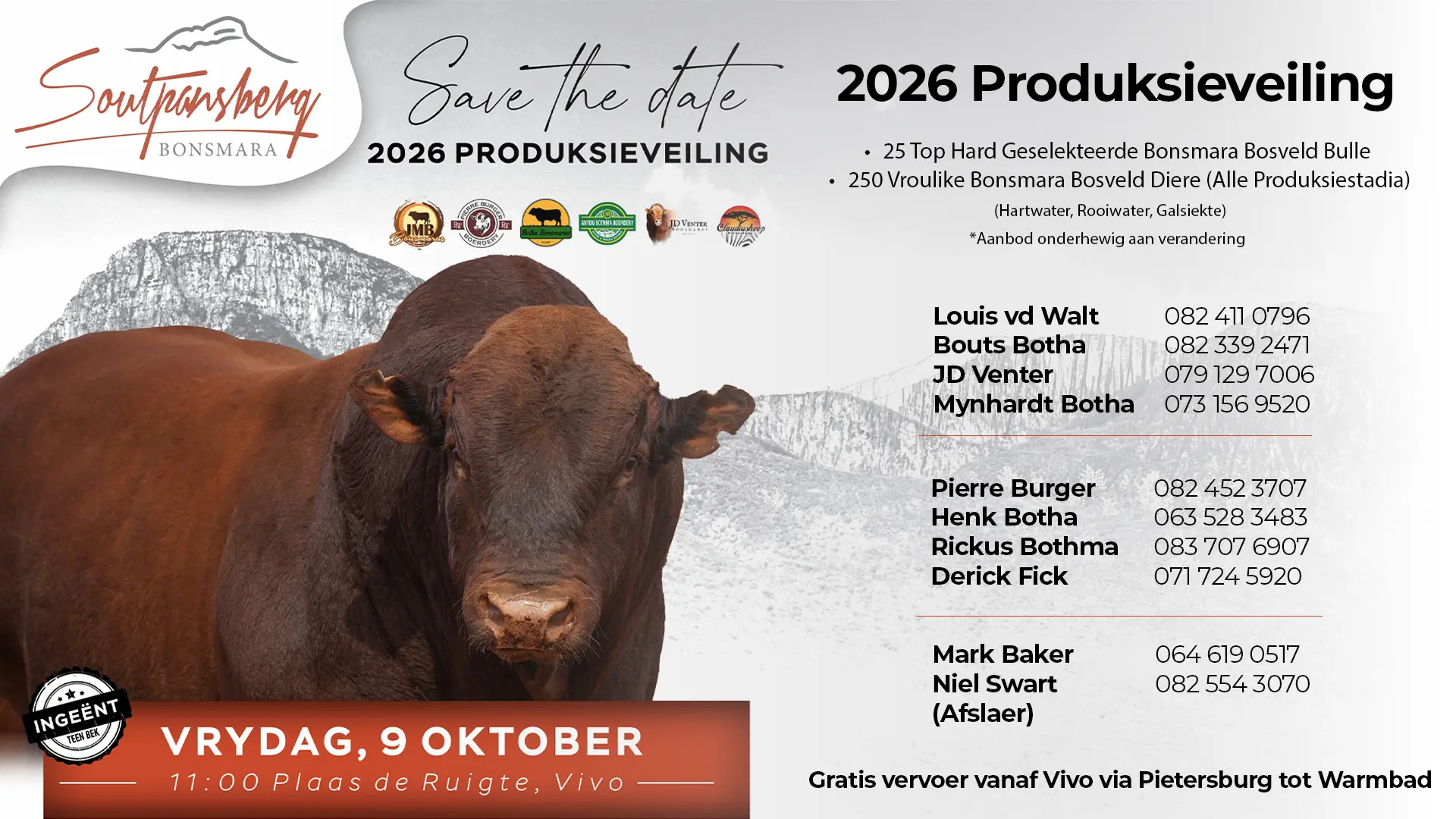 Soutpansberg Bonsmara 2026 Produksieveiling | 9 Oktober 2026 | 11:00 | Plaas de Ruigte, Vivo