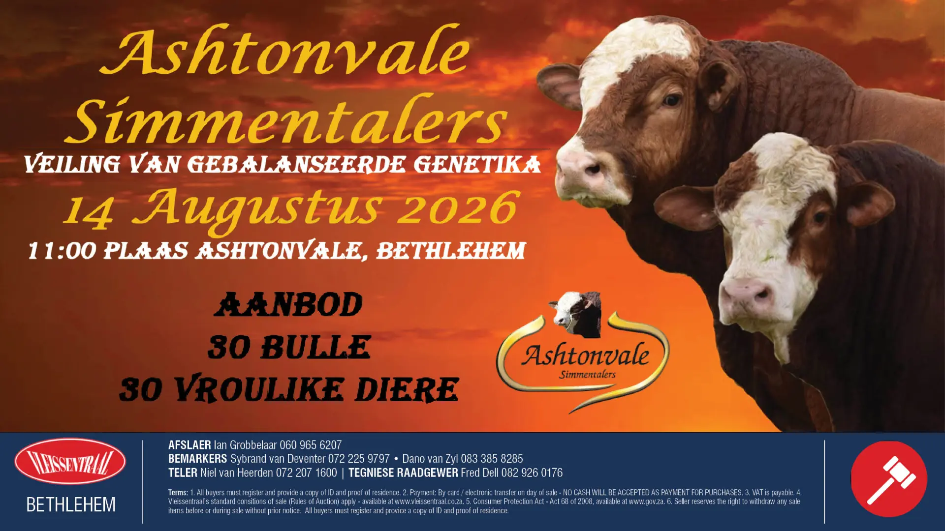 Ashtonvale Simmentalers Veiling van Gebalanseerde Genetika | 14 Augustus 2026 | 11:00 | Plaas Ashtonvale, Bethlehem