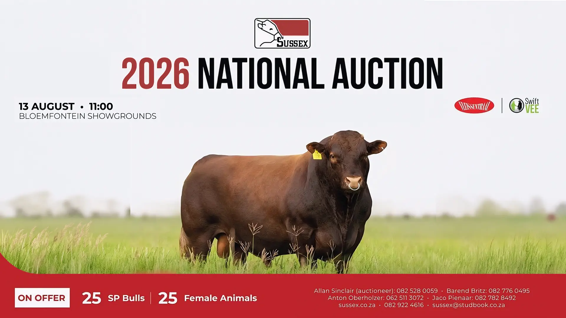 Sussex National Auction | 13 August 2026 | 11:00 | Bloemfontein Showgrounds