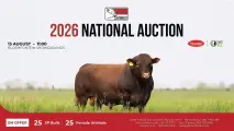 Sussex National Auction | 13 August 2026 | 11:00 | Bloemfontein Showgrounds