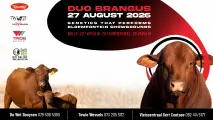 Duo Brangus Veiling | 27 Augustus 2026 | 11:00 | Bloemfontein Skougronde