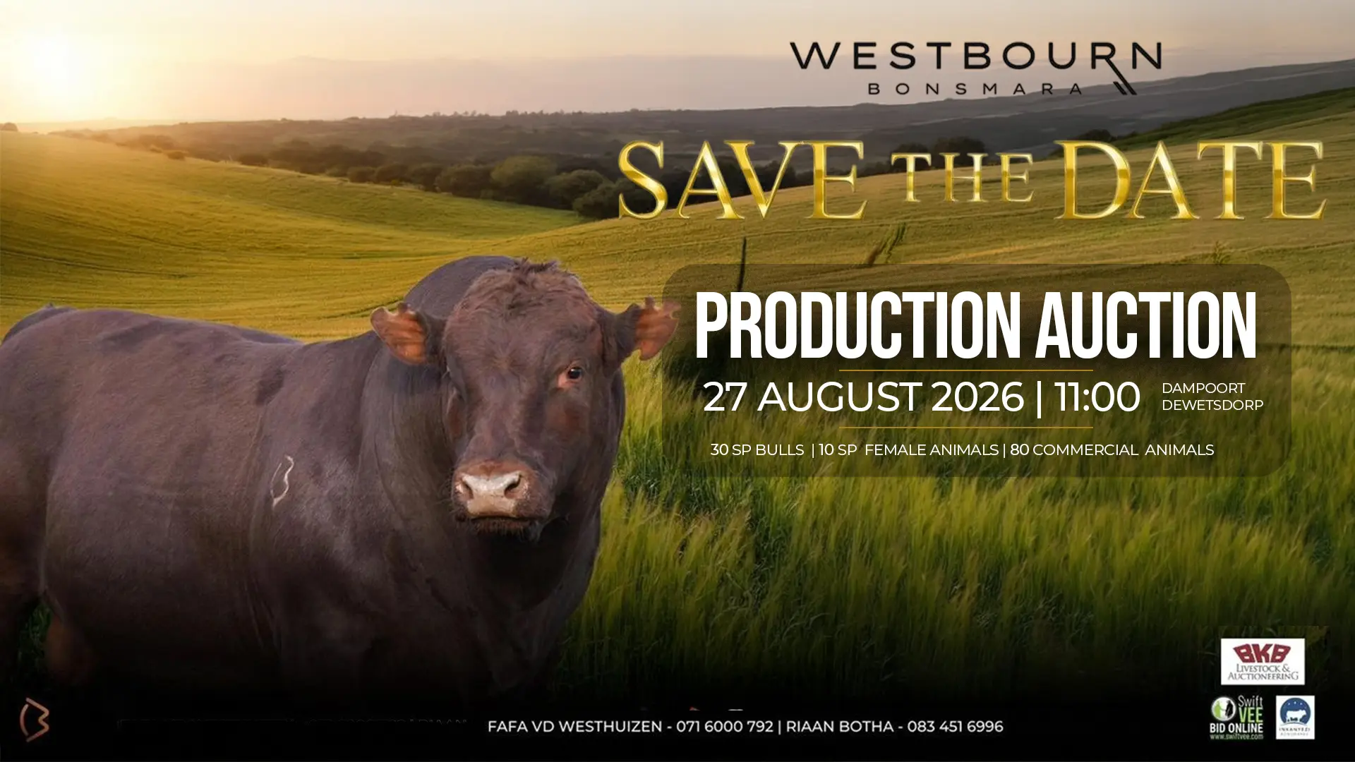 Westbourn Bonsmara Production Auction | 27 August 2026 | 11:00 | Dampoort, Dewetsdorp