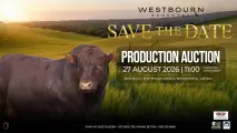 Westbourn Bonsmara Production Auction | 27 August 2026 | 11:00 | Dampoort, Dewetsdorp