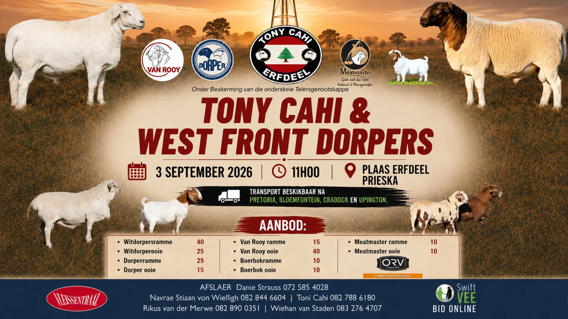 Tony Cahi &amp; West Front Dorpers veiling | 3 September 2026 | 11:00 | Plaas Erfdeel, Prieska