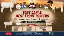 Tony Cahi & West Front Dorpers veiling | 3 September 2026 | 11:00 | Plaas Erfdeel, Prieska