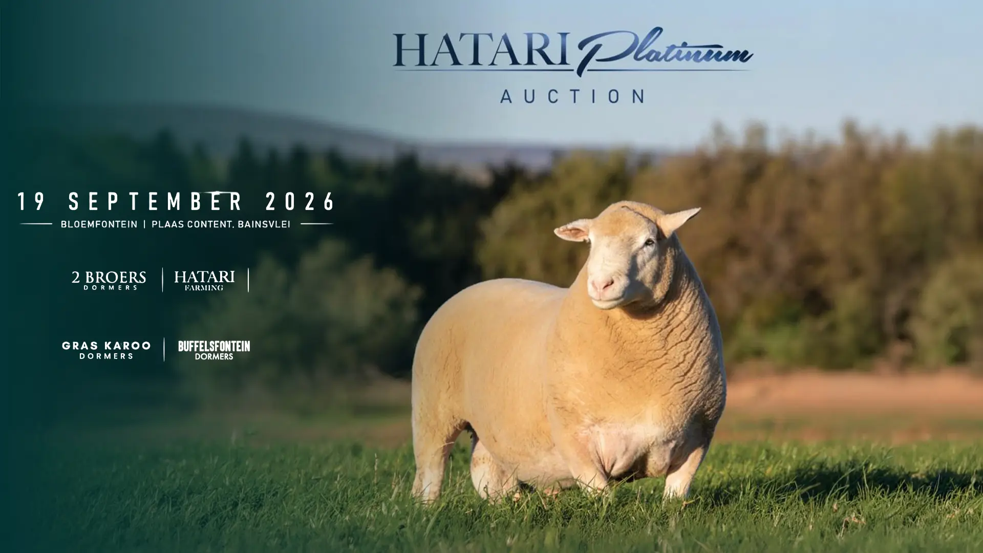 Hatari Platinum Veiling| 19 September 2026 | 11:00 | Plaas Content, Bainsvlei, Bloemfontein