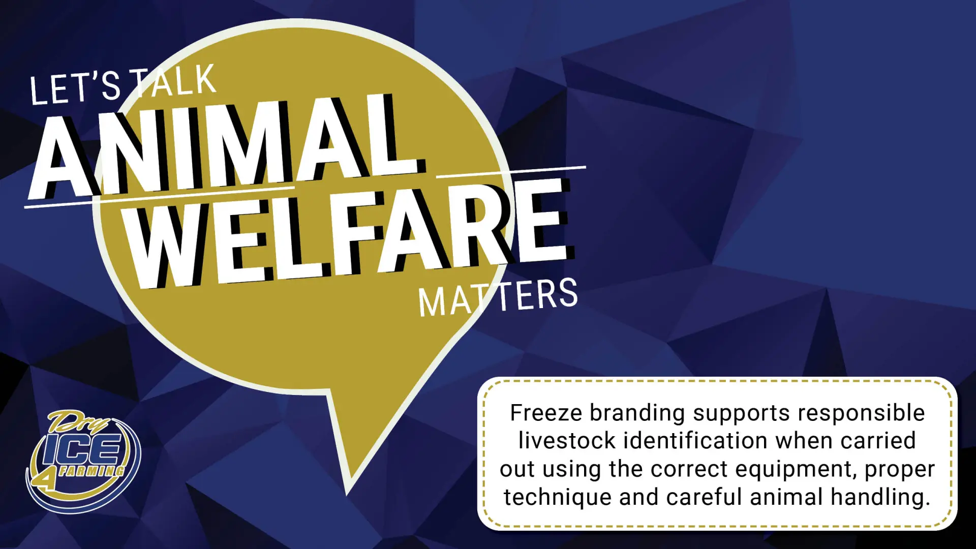 Dry Ice International - Freeze Branding Solution for Livestock Identification