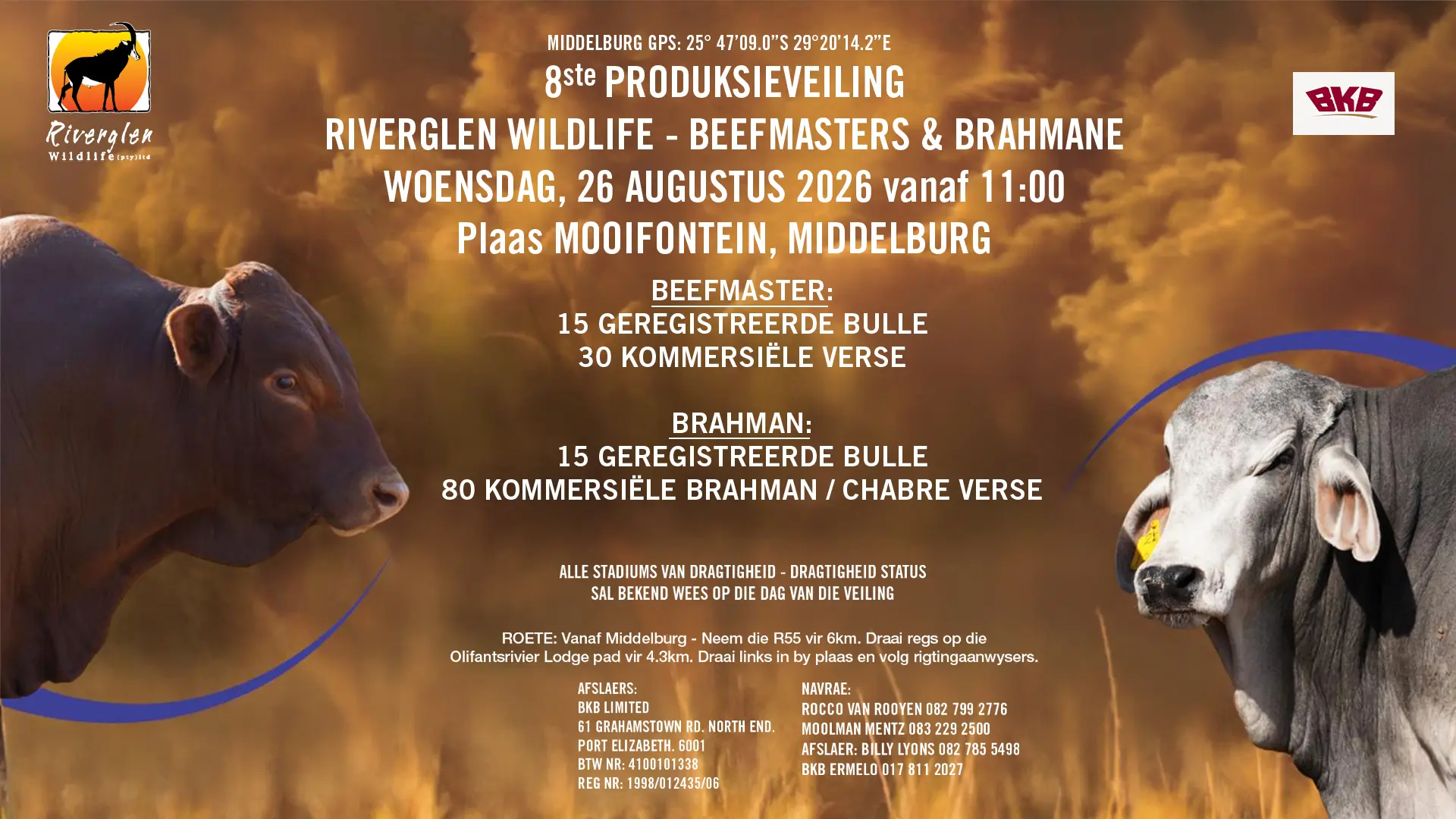 Riverglen Wildlife – Beefmasters &amp; Brahmane 8ste produksieveiling | 26 Augustus 2026 | Middelburg